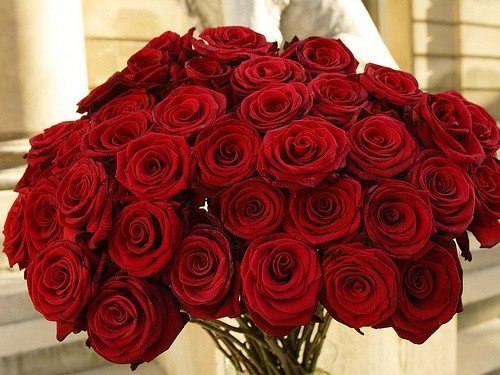С Днем святого Валентина вас, дорогие читатели! Пусть любовь никогда не покидает ваши сердца! <3