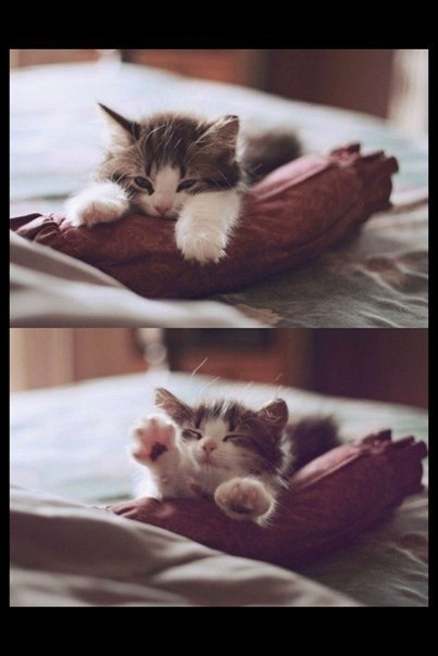 Так я люблю свою кроватку)))