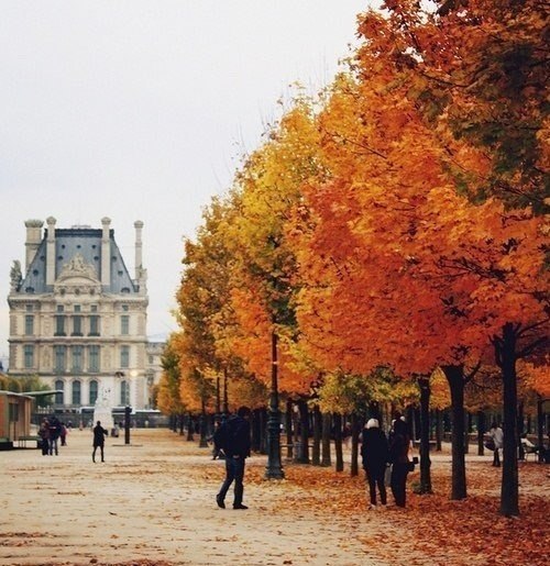 Вот бы махнуть в Париж этой осенью!