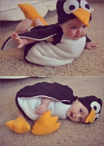 Пингвинёнок :)