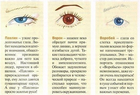 Определи характер по форме глаз