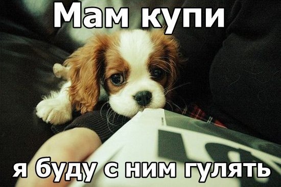 Ты тоже всегда так говоришь?))