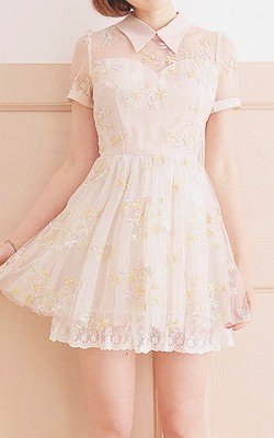 Simple lace Dresses