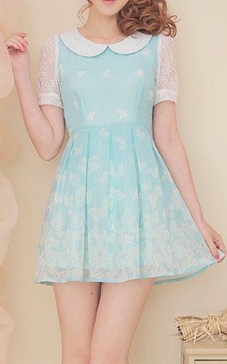 Simple lace Dresses