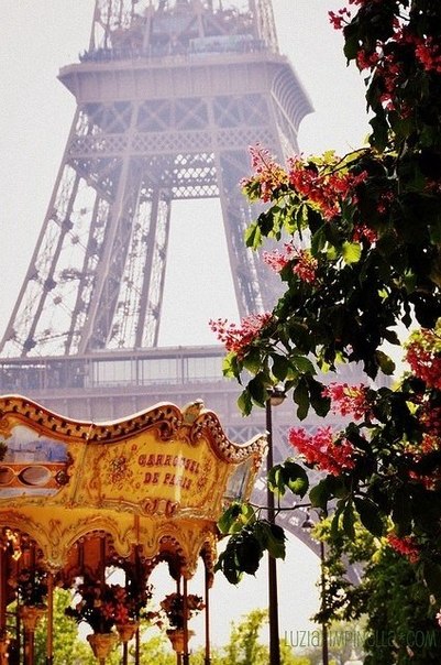 Paris in the springtime
