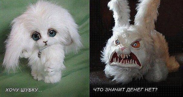 Женщины, они такие)