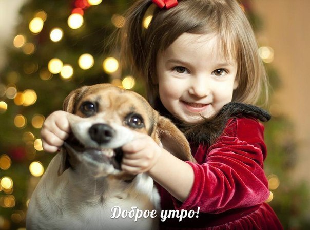 Доброе утро,дорогие подписчики)